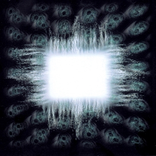 Album cover: Ænima by Tool